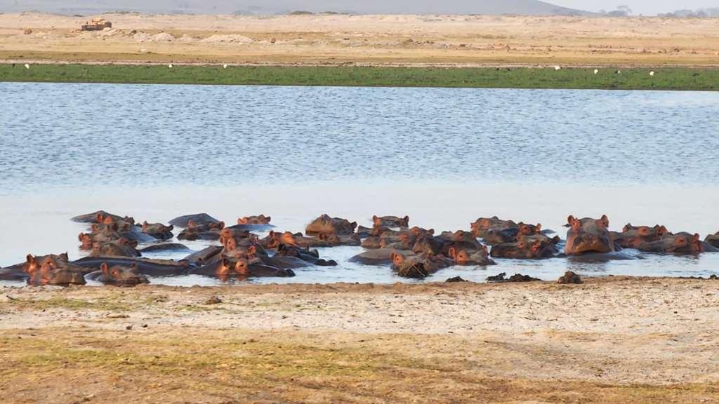 Amboseli Serena Safari Lodge Faciliteiten foto